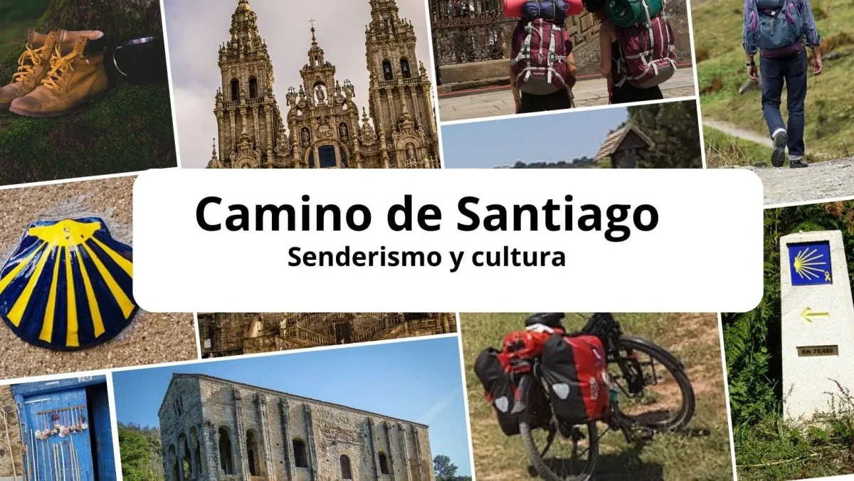 Senderismo y Cultura en el Camino de Santiago
