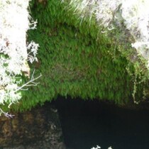 Puente natural de la Fonseca