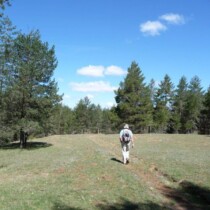 Camino del Alto Tajo