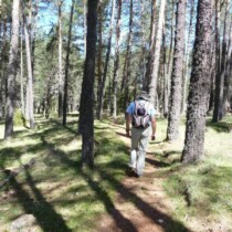 Camino del Alto Tajo