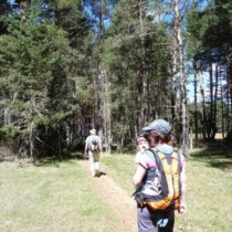 Camino del Alto Tajo