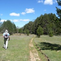 Camino del Alto Tajo