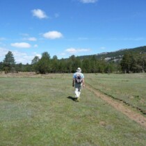 Camino del Alto Tajo