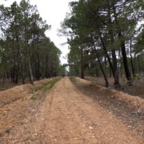 El Campillo – Ligros (ruta en bici)