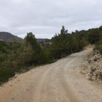 Ligros – Jabaloyas en mtb