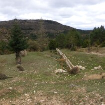 Jabaloyas – El Cañigral en btt