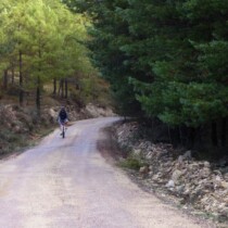 Cañete – Pajaroncillo (ruta Teruel-Cuenca en mtb)