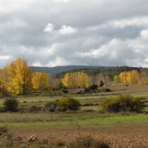 Cañete – Pajaroncillo (ruta Teruel-Cuenca en mtb)
