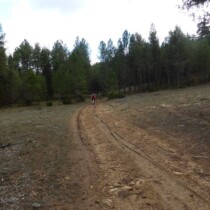 Cañada del hoyo – Las Torcas (ruta Teruel-Cuenca en btt)