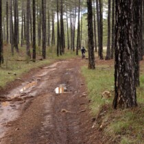 Cañada del hoyo – Las Torcas (ruta Teruel-Cuenca en btt)