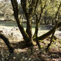 Las Torcas – Cuenca (ruta Teruel-Cuenca en MTB)