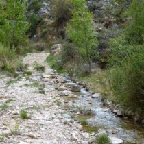 Ruta al centro de interpretación de Riodeva