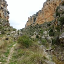 Ruta Riodeva