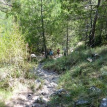 Senda