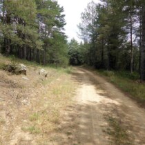 Ruta Vistabella-Maravillas