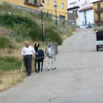 Vistabella