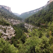 valle Palomita