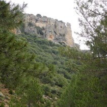 valle Palomita