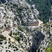 Ruta